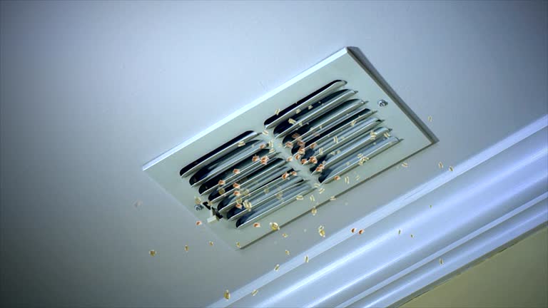 Best Best Air Duct Cleaning Company  in Marana, AZ
