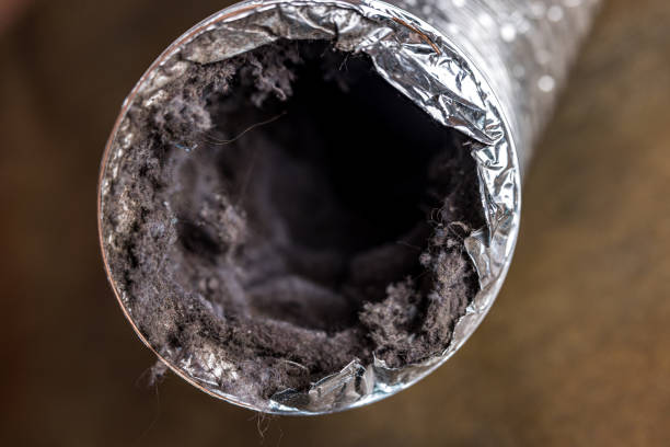 Best Home Air Vent Cleaning  in Marana, AZ